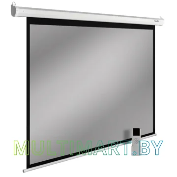 Проекционный экран CACTUS SIlverMotoExpert 150x240 (CS-PSSME-240X150-WT)